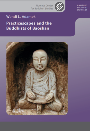 Adamek, Practicescapes and the Buddhists of Baoshan